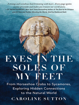 cover image of EYES IN THE SOLES OF MY FEET